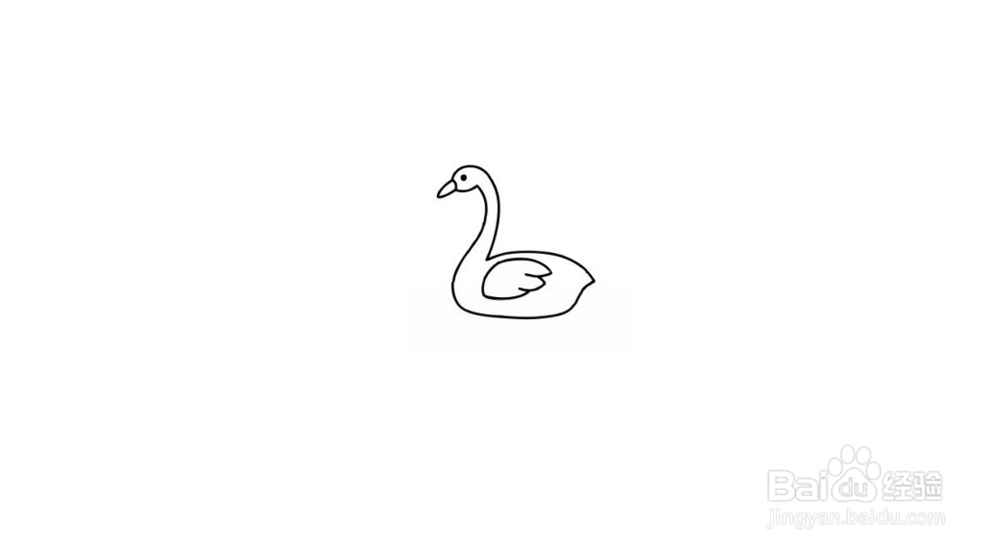天鹅简笔画教程