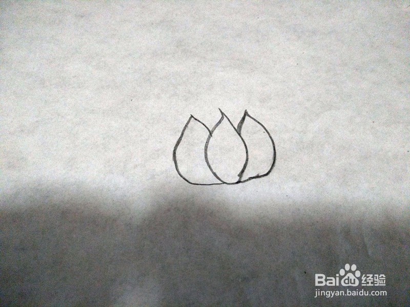 简笔画-荷花的简单画法