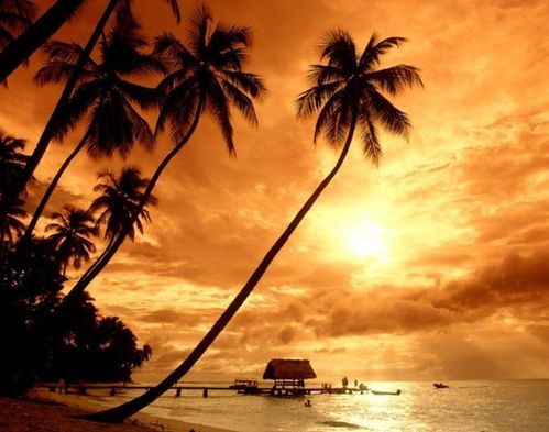 普吉岛旅游之贴心小提示