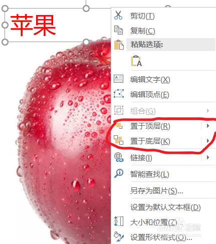 PPT如何调整元素层级关系把字放在图片上