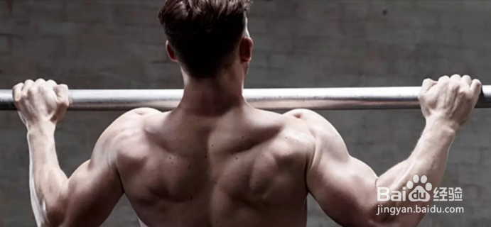 被引体向上虐爽了！5重训练让巨背提前降临~