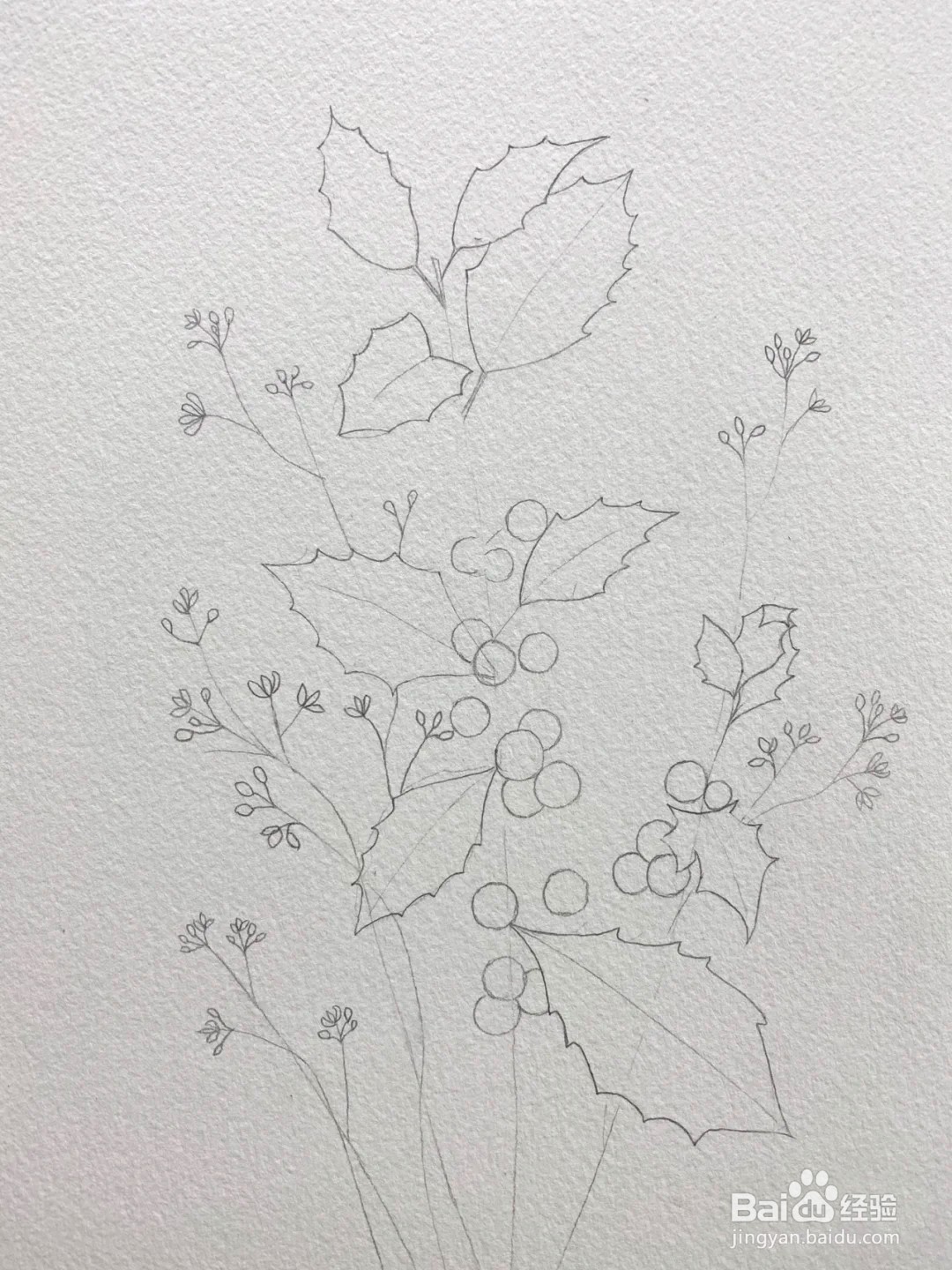 【水彩临摹】自学水彩红果子画法