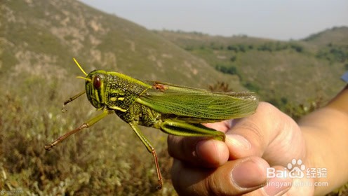 云南哈尼族民俗节日