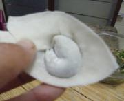 三鲜馄饨的家常做法