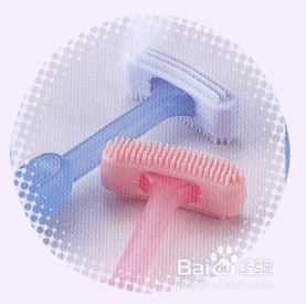 牙齿的日常护理