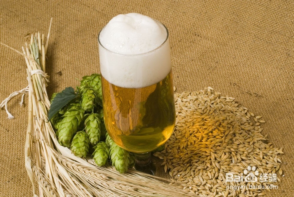 什么时候不宜和啤酒。