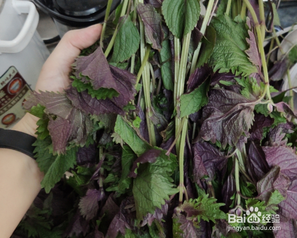 一次就学会的瑶柱虾米辣椒酱