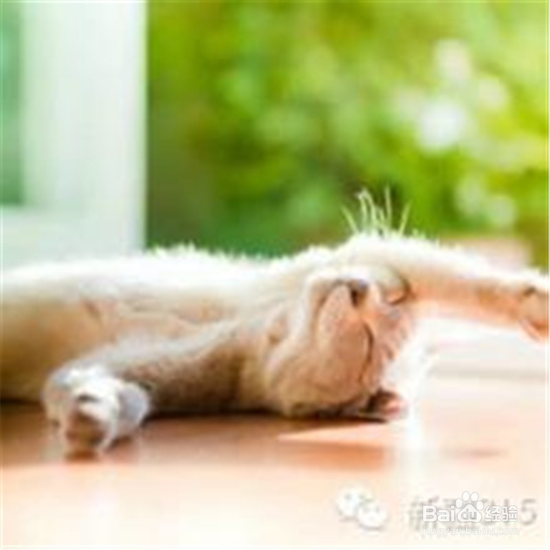 阳光下扩胸可以防癌