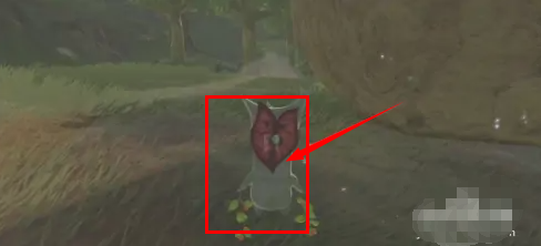 塞尔达传说荧光兔子怎么抓