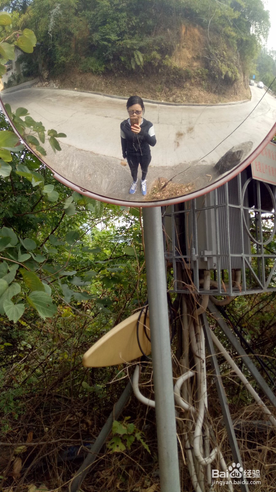 周末徒登芙蓉山