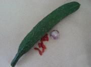 枸杞黄瓜的做法