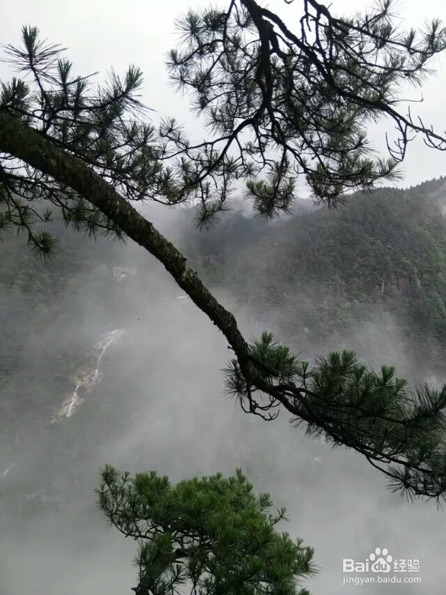 明月山旅游游记攻略