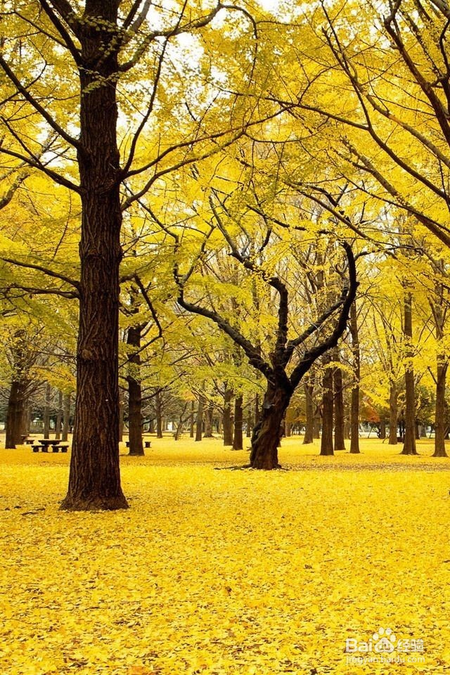 “会说话”的秘诀，真的太简单！