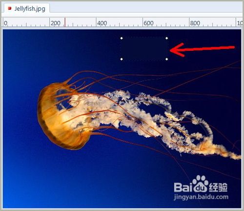 用picpick软件去除图片不一致颜色