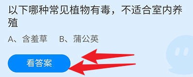 以下哪种常见植物有毒,不适合室内养殖