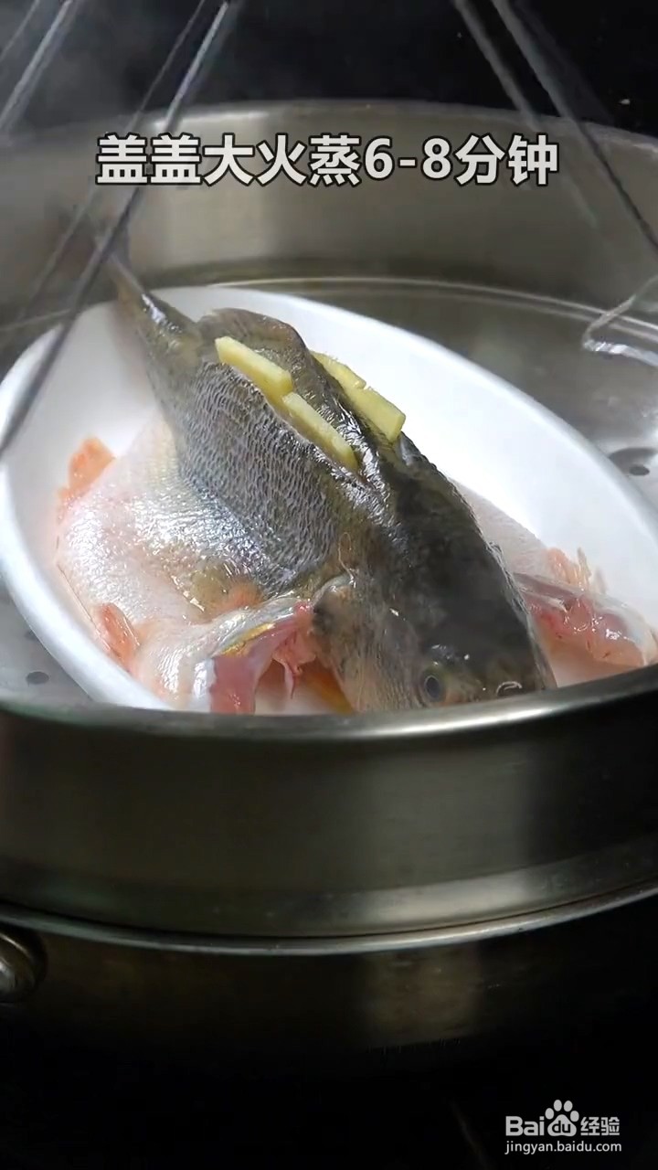 如何制作清蒸鲈鱼？