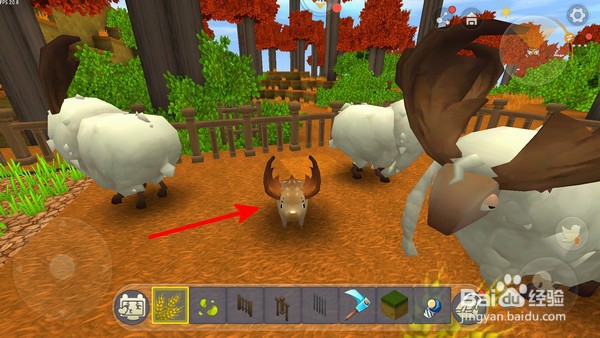 迷你世界怎么驯服羊