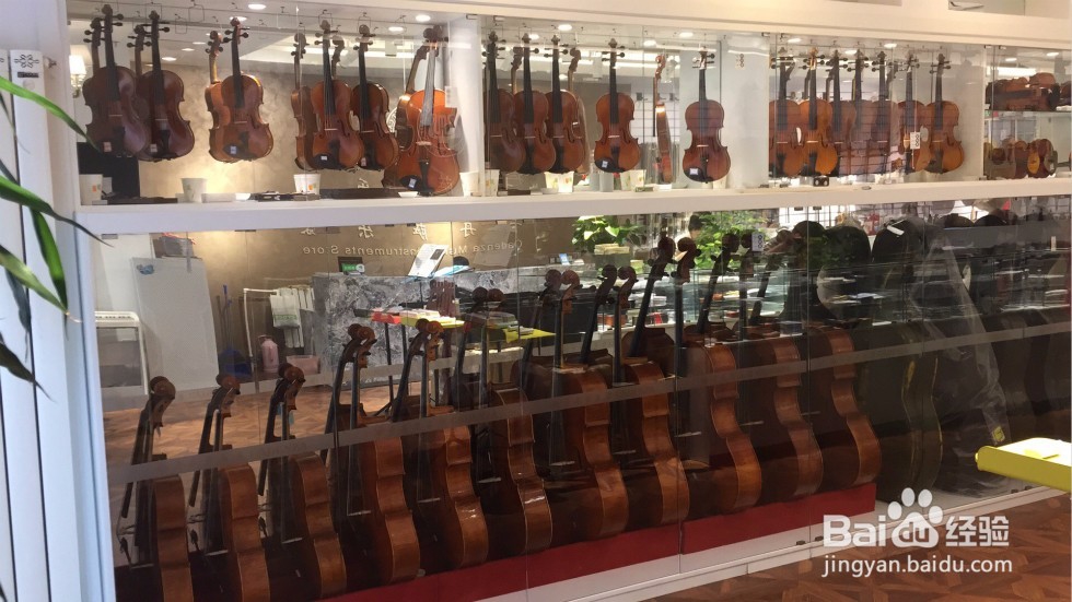 卡丹萨小编分享购买提琴的注意事项