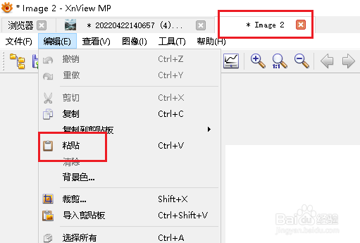 XnViewMP复制和粘贴图像的操作方法