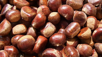 板栗直接冷冻还是煮一下冷冻