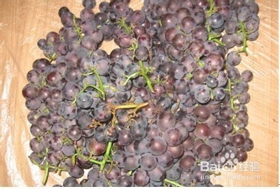 如何自己动手酿造干红葡萄酒