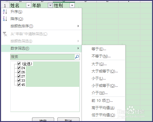 Excel 2013筛选怎么用