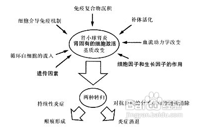 高尿酸血症详解