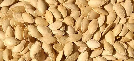 炒熟的南瓜子不好剥皮怎么办