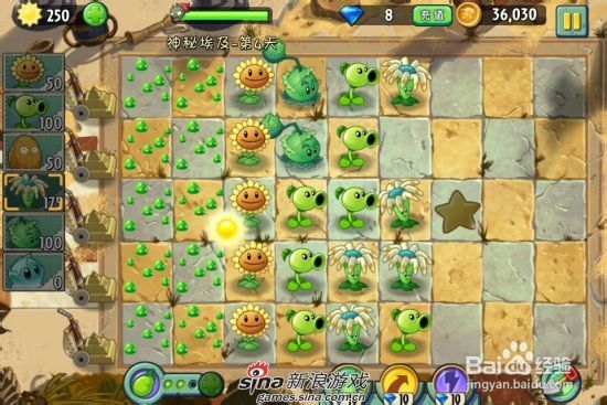植物大战僵尸2中文版神秘埃及第四关：[1]一星