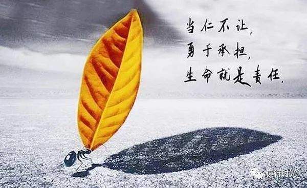 有关责任的小故事