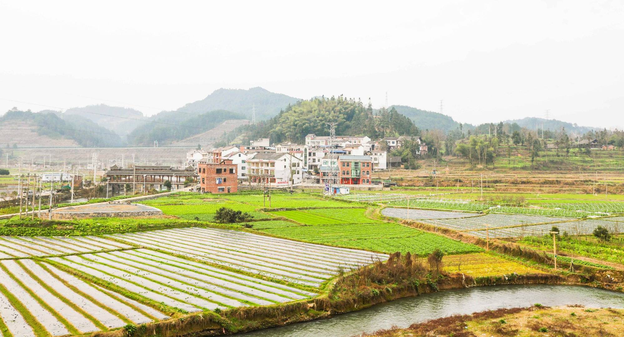 为什么在文化适应中要贯彻因地制宜的原则,答案