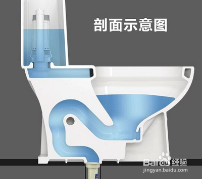 鱼骨头堵住厕所了怎么办