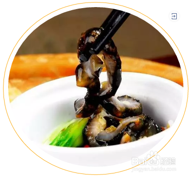 春困？海参帮你消除疲劳！