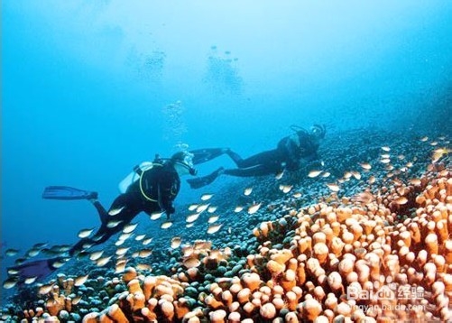 温馨美好的亲子旅行 凯特王妃产后出游计划
