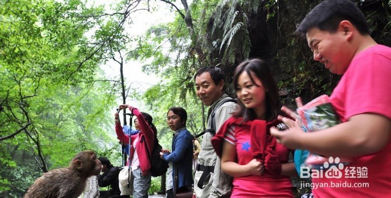 杭州到张家界自驾游攻略