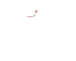 简笔画---怎么画鹦鹉