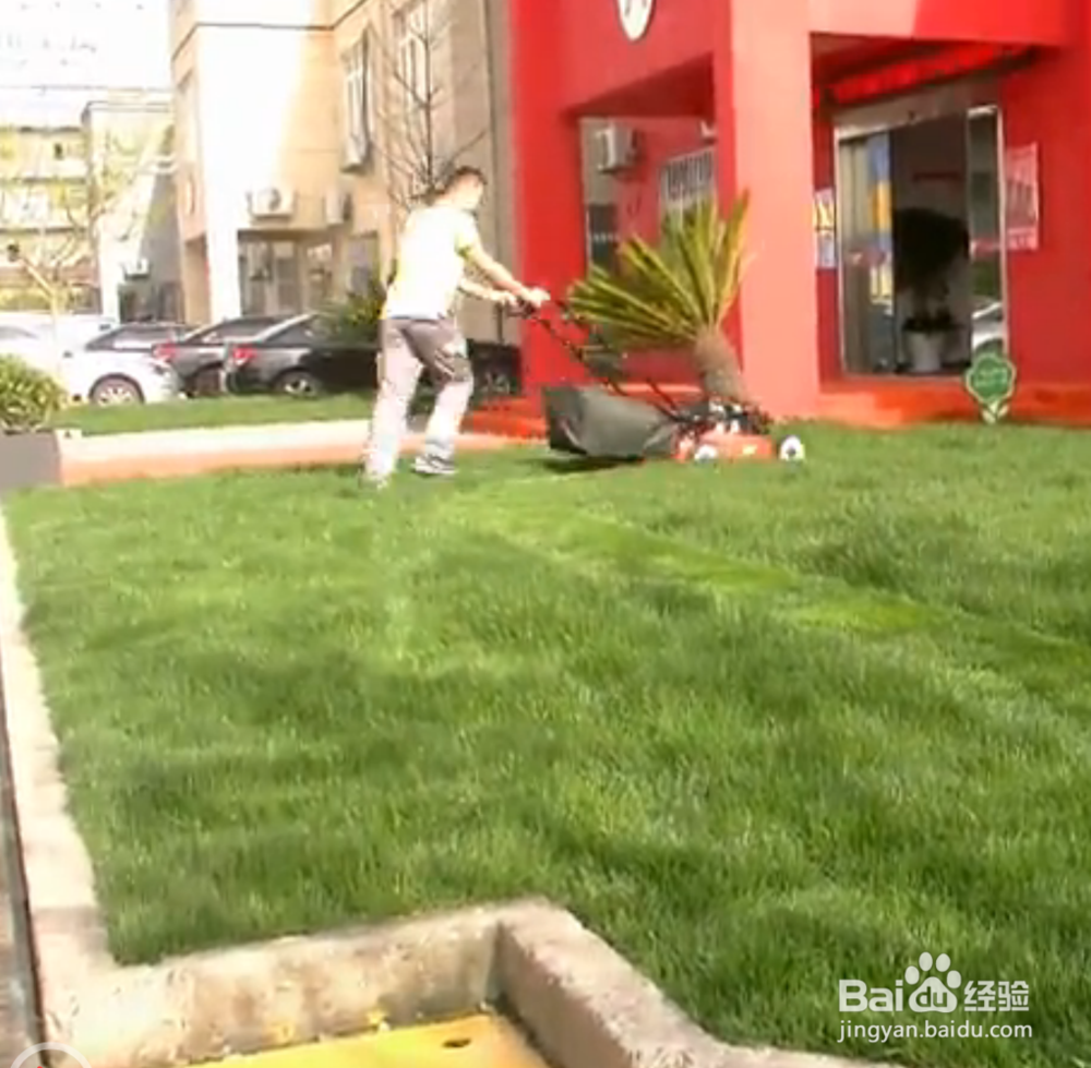 手推式割草机介绍