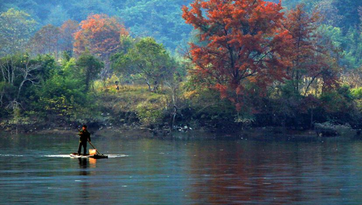 描写南方冬天的好段有哪些