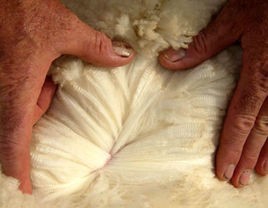 干货，教你根据材质选择针织衫！