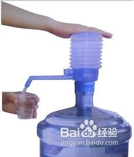 哪些食物能帮助胸部二次发育?