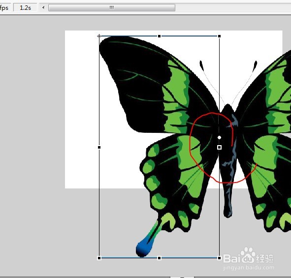 flash做个卡通蝴蝶飞舞的动画