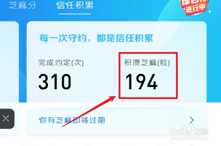 支付宝芝麻粒怎么收集