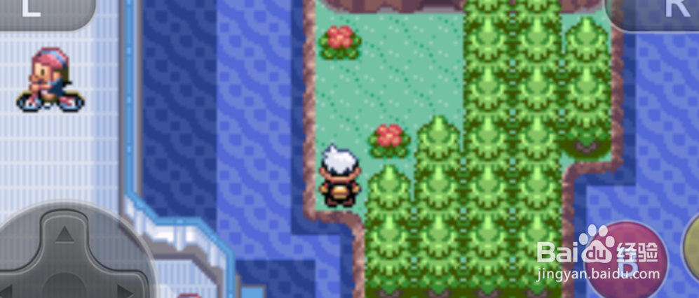 口袋妖怪红宝石攻略