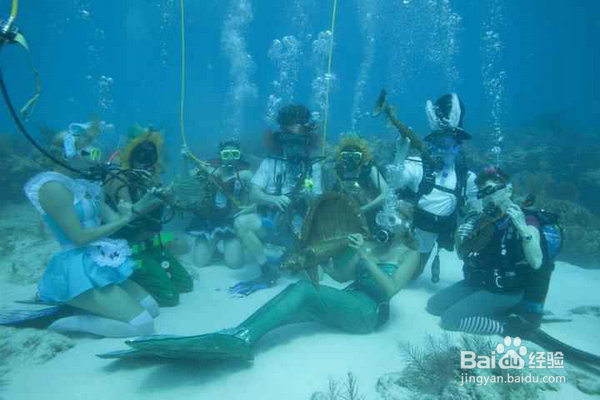 盘点全球最奇葩的十大节日