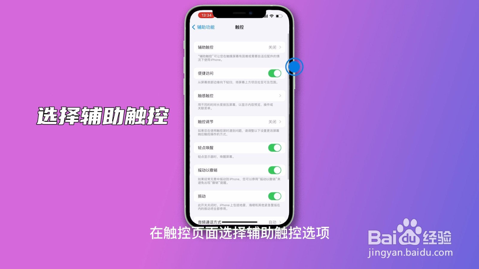 苹果圆点在哪里设置