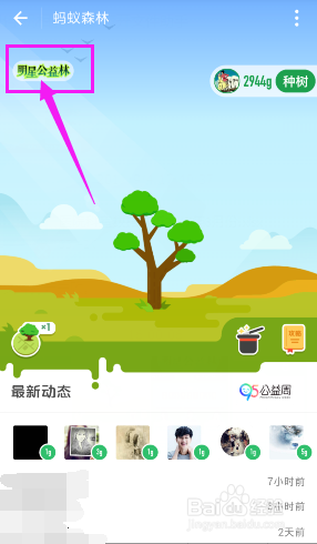蚂蚁森林如何获得明星公益林证书