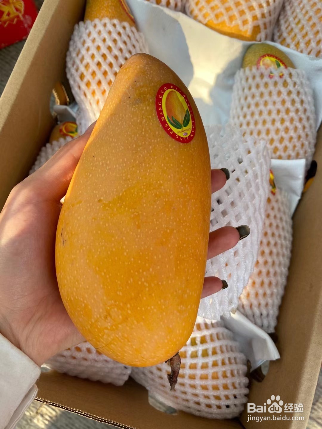 芒果怎样催熟比较甜