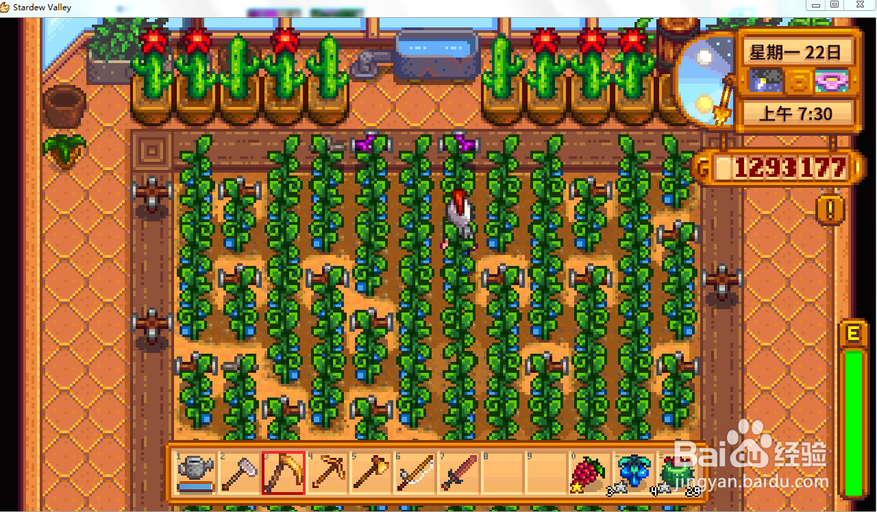 星露谷物语游戏攻略