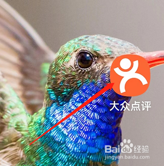 怎样查看大众点评APP的卡券
