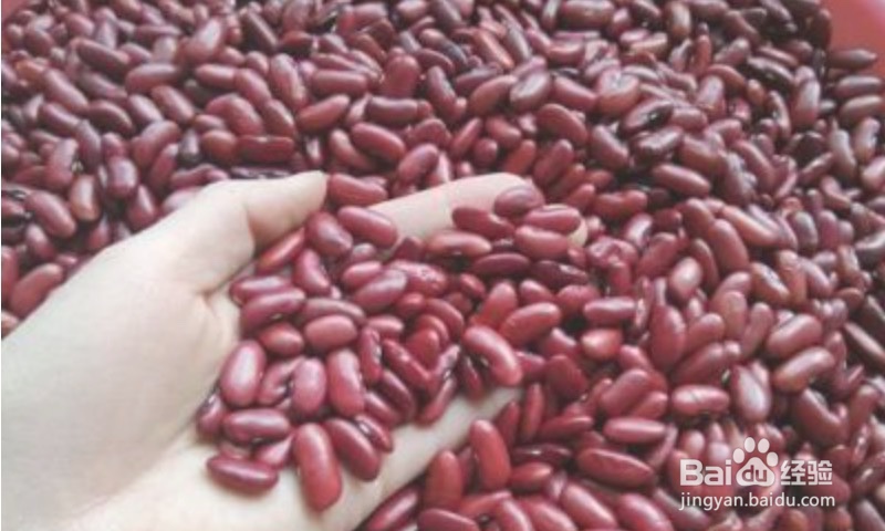红腰豆怎么煮烂